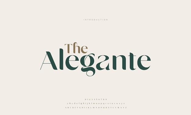 Vector elegant alphabet letters font and number classic lettering minimal fashion designs typography mode