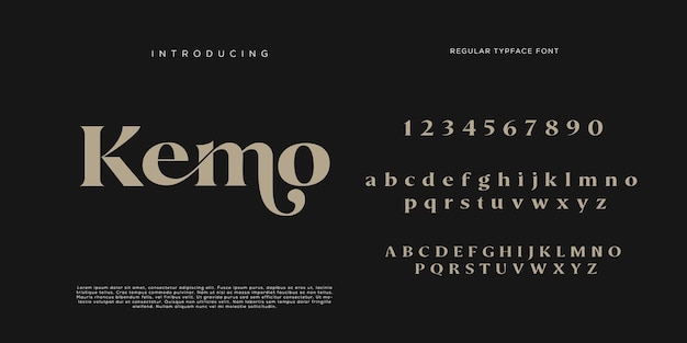 Eleganti lettere dell'alfabeto font e numero con lettere classiche modalità tipografica di design di moda minimale