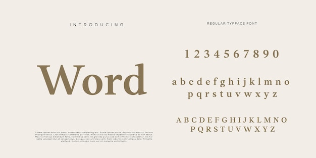 Eleganti lettere dell'alfabeto font e numero con lettere classiche modalità tipografica di design di moda minimale