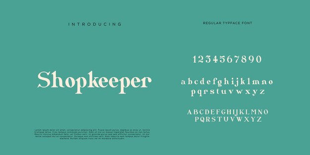 Vettore eleganti lettere dell'alfabeto font e numero con lettere classiche modalità tipografica di design di moda minimale