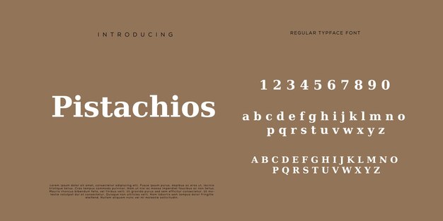 エレガントなアルファベット文字フォントと数字クラシックレタリング最小限のファッションデザインタイポグラフィモード