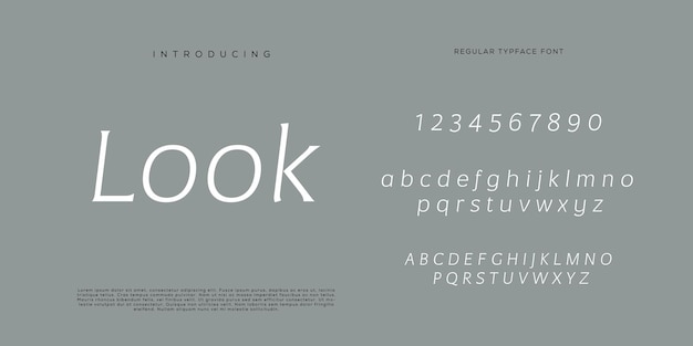 Eleganti lettere dell'alfabeto font e numero con lettere classiche modalità tipografica di design di moda minimale