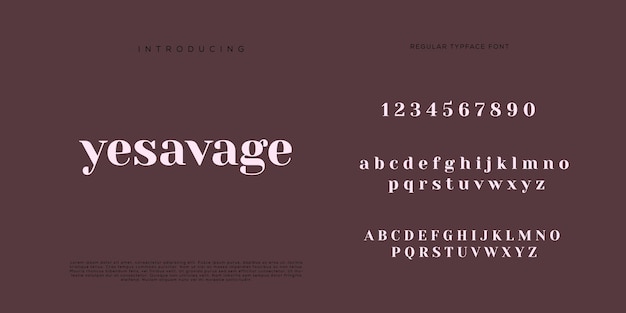 Eleganti lettere dell'alfabeto font e numero con lettere classiche modalità tipografica di design di moda minimale