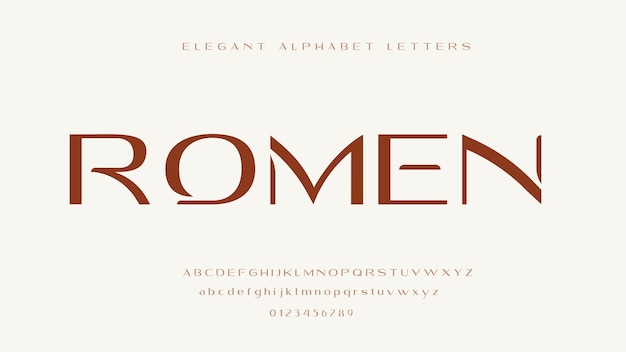 Vector elegant alphabet letters font romen