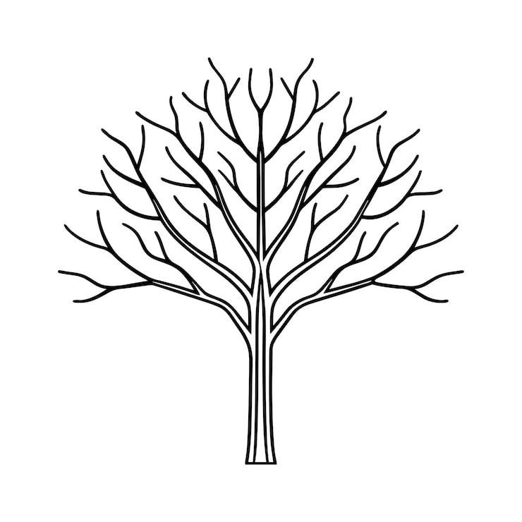 Vector elegant bare tree line art vector minimalist leafless tree illustration
