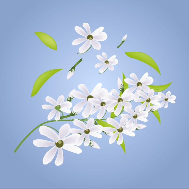エレガントな美しい白い花の花のデザインイラスト