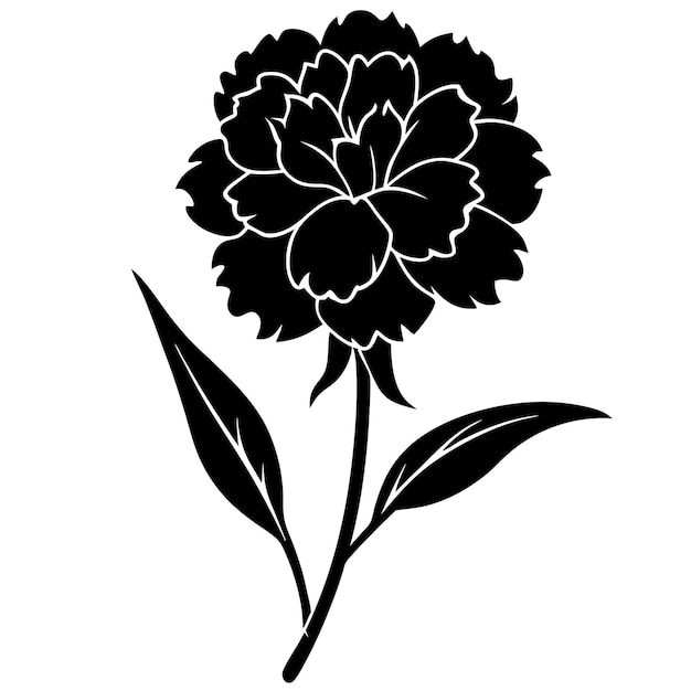 Elegant Black Dianthus Flower Silhouette