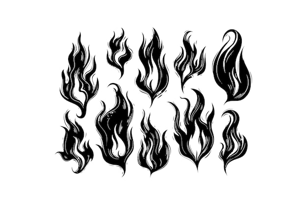Vector elegant black fire silhouettes collection vector illustration design