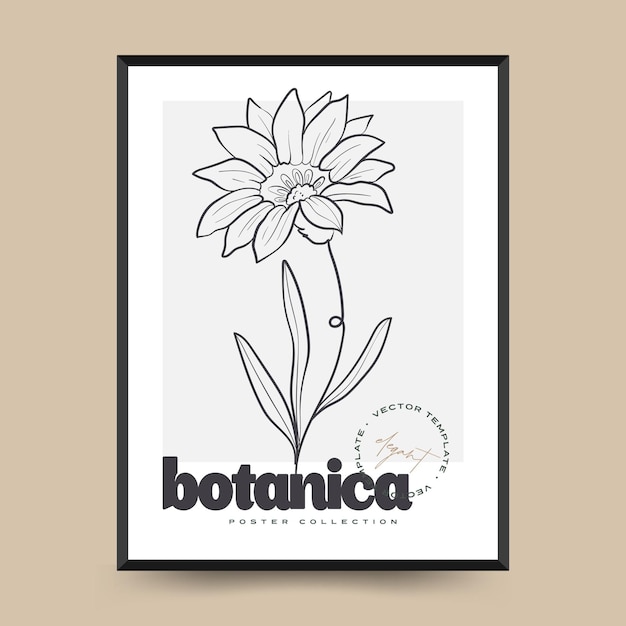 Eleganti arti della parete astratta botanica. collezione di poster floreali vettoriali.