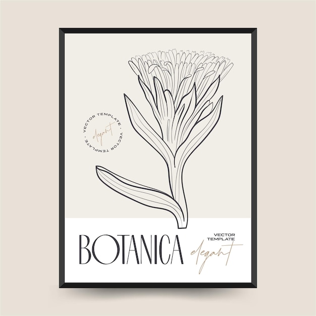 Eleganti arti della parete astratta botanica. collezione di poster floreali vettoriali.