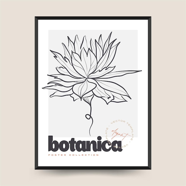 Elegant Botanical abstract wall arts. Floral vector poster collection.