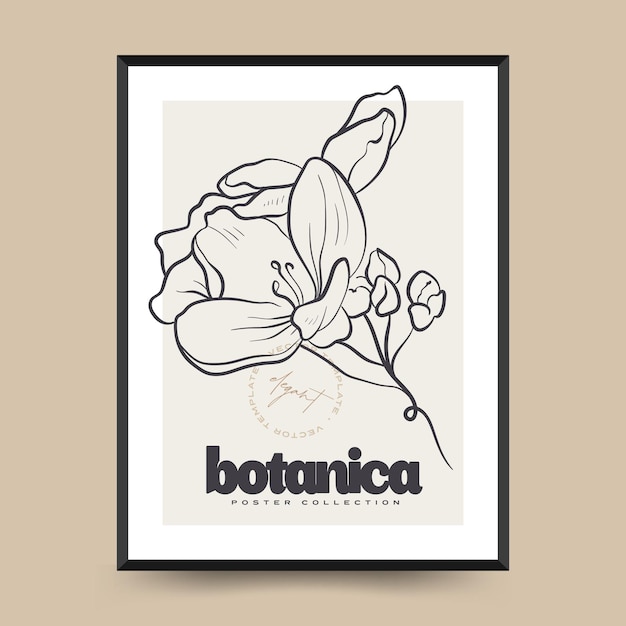 Elegant botanical abstract wall arts. floral vector poster collection.