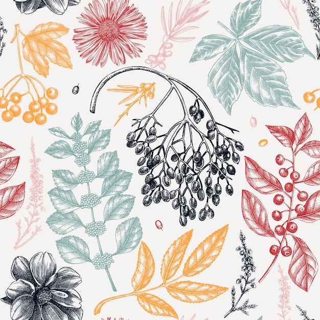 Elegant botanical background with autumn leaves berries flowers sketches