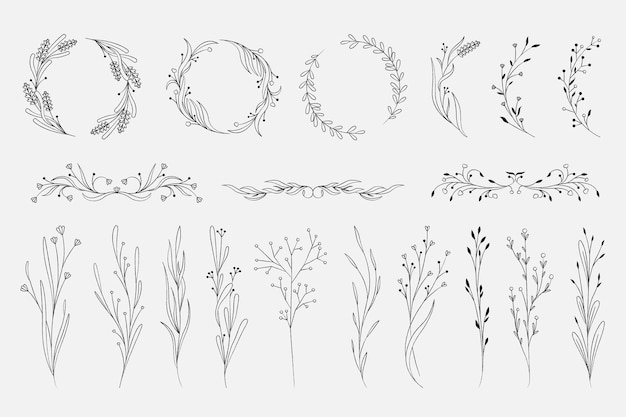 Elegante decorazione botanica cornice floreale minimalista e monogramma confine ghirlanda organica e cerchio elementi ornamentali set isolato vettoriale