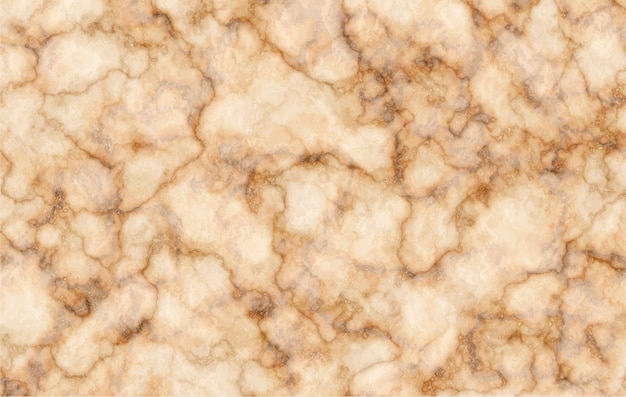 Vector elegant brown marble texture