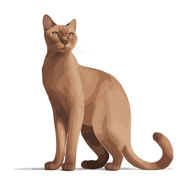 Vector elegant burmese cat design volledig bewerkbaar vector drawing artwork klaar voor aanpassing