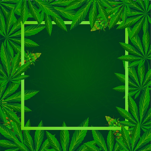 Elegant cannabis leaf background  .