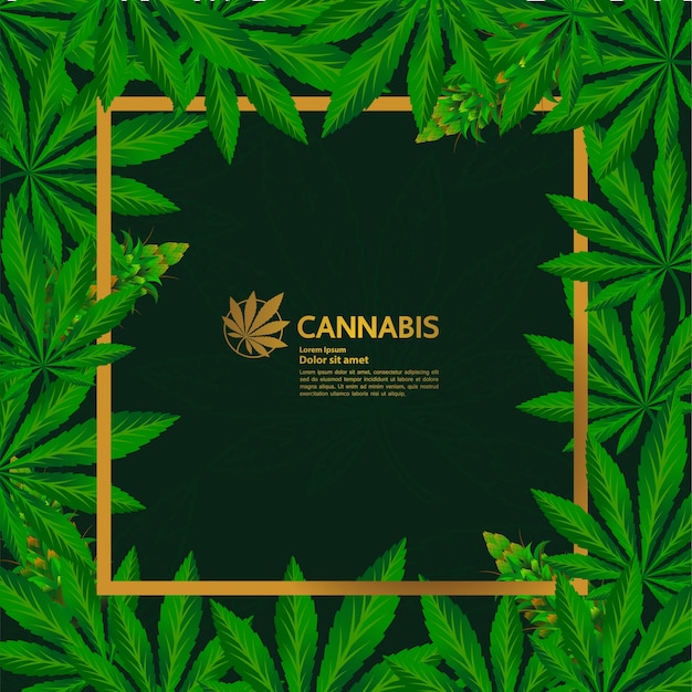 Elegant cannabis leaf Background  .