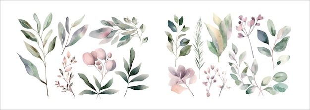 Elegant Collection of Watercolor Botanical Illustrations Featuring Various Green Leaves and Blooming Flowers Perfect for Invitationsand Art Projects