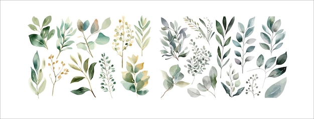 Elegant Collection of Watercolor Greenery and Foliage Elements Perfect for Invitations Decorations and Art