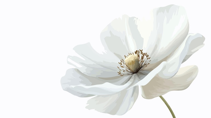Vector elegant delicate white floral art in flat vector design