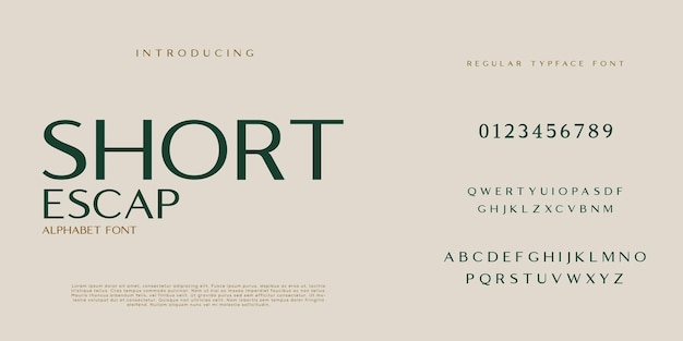 Elegant fashion and minimal modern sans serif alphabet font uppercase and number fonts victorian