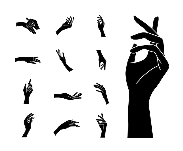 Vector elegant female hands in different gestures in boho style