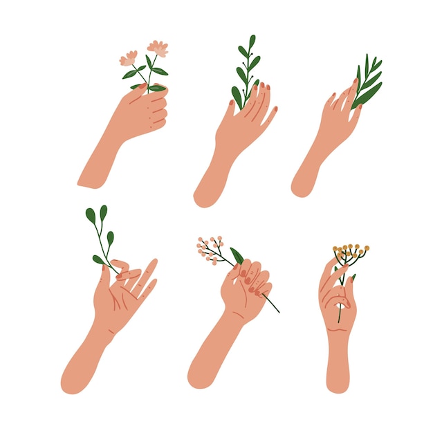 Mani femminili eleganti che tengono fiori e foglie sui rami. illustrazione piatta.