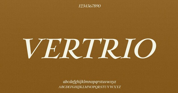 Vector elegant geweldig alfabet letters lettertype en getal classic lettering minimal fashion designs typogra