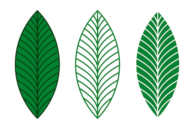 Elegant green leaves vector set Silhouette and outline leaf illustration