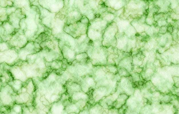 Vector elegant green marble texture