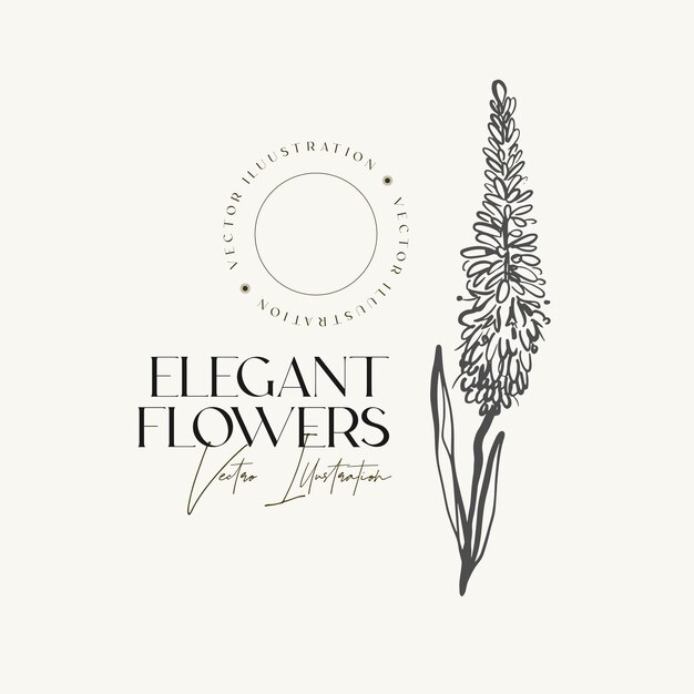 Vector elegant hand draw sketch herbs or flowers