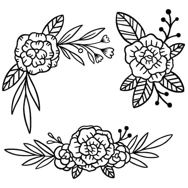 elegant illustration set of hand drawn flower