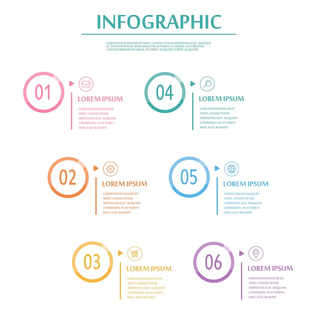 Elegant infographic template design with thin line circle elements