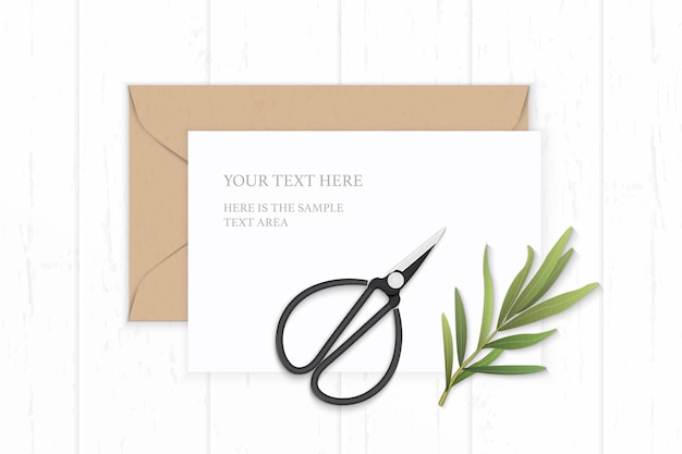 elegant letter paper with tarragon leaf and vintage scissors on wooden background