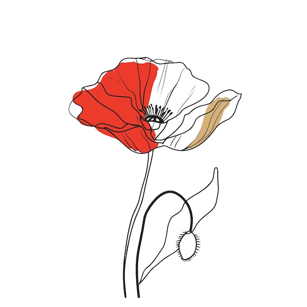 초대장 과 카드 에 쓰이는 야생 포피 꽃 의 우아 한 선 그림