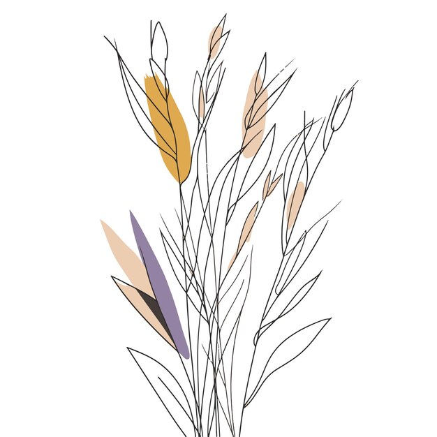 Elegant line drawing of summer wheat illustration for invites and cards