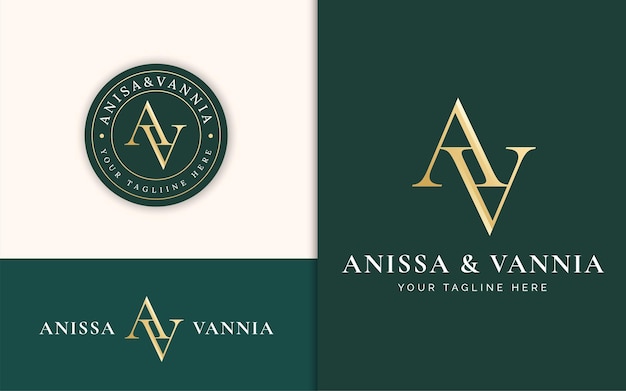 Vector elegant luxury letter a and v monogram serif logo design