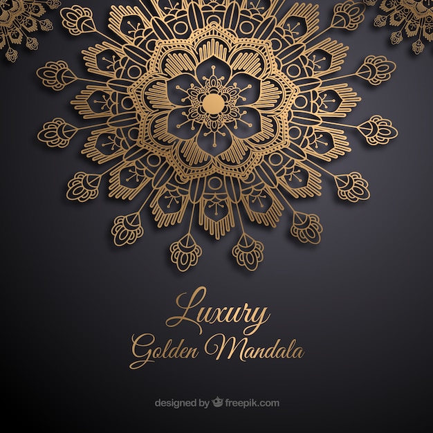 Vector elegant mandala concept background