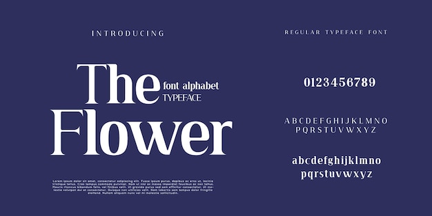 Elegant and modern serif alphabet font uppercase and numberfonts victorian typeface