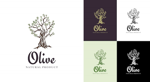エレガントなオリーブの木の分離アイコン。創造的なオリーブの木のシルエット。広告製品のプレミアム品質に使用されるロゴデザイン