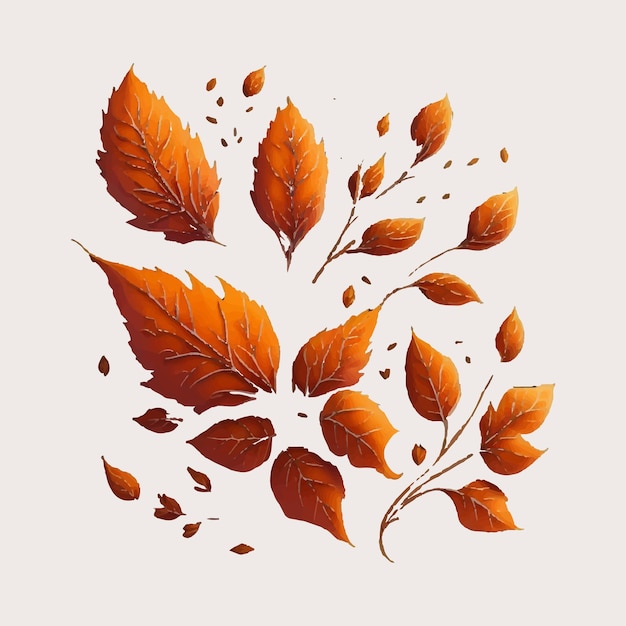 Vector elegant orange leaves border