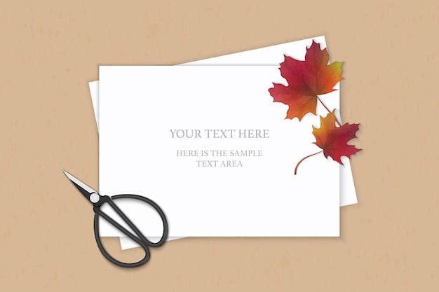 Vector elegant paper with maple leaf and vintage scissors