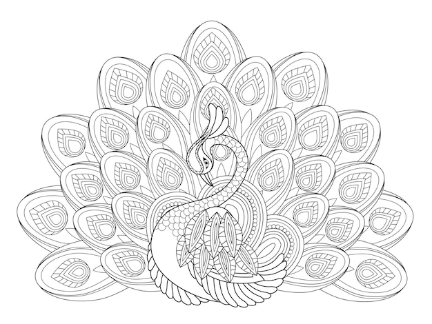 Elegant peacock coloring page in exquisite style