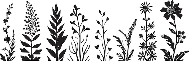 Vettore elegant petal framework floral vector icon design inky floral boundary black floral emblem (emblema floreale nero con confine floreale in inchiostro)