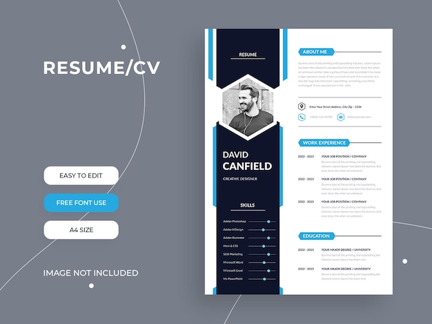 Vector elegant resume template