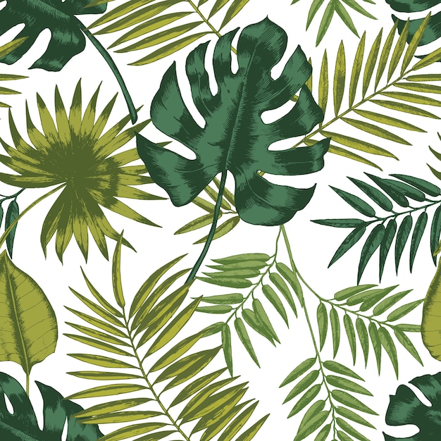 熱帯雨林の植物の葉を持つエレガントなシームレスパターン