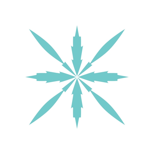 Elegant snowflake Vector design element