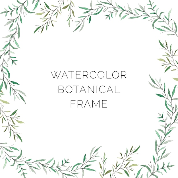 Vector elegant watercolor botanical frame