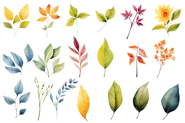 Elegant Watercolor Leaves and Flowers Clipart